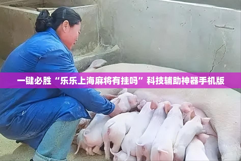 一键必胜“乐乐上海麻将有挂吗”科技辅助神器手机版