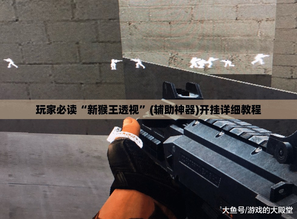 玩家必读“新猴王透视”(辅助神器)开挂详细教程
