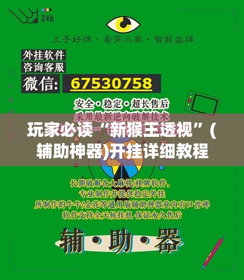 玩家必读“新猴王透视”(辅助神器)开挂详细教程