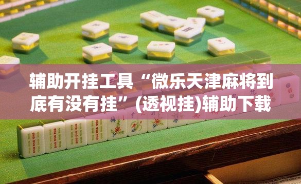 辅助开挂工具“微乐天津麻将到底有没有挂	”(透视挂)辅助下载教程