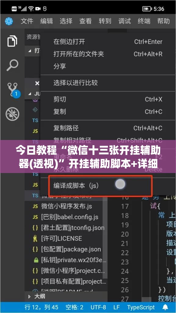 今日教程“微信十三张开挂辅助器(透视)”开挂辅助脚本+详细开挂安装教程