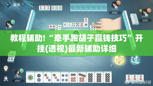 教程辅助!“牵手跑胡子赢钱技巧”开挂(透视)最新辅助详细