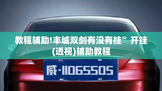教程辅助!丰城双剑有没有挂”开挂(透视)辅助教程