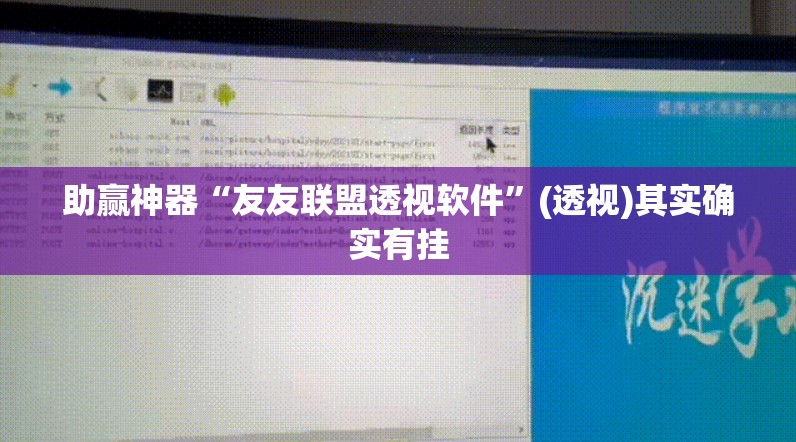 助赢神器“友友联盟透视软件	”(透视)其实确实有挂