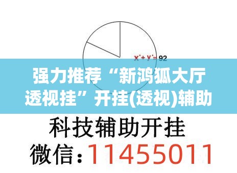 强力推荐“新鸿狐大厅透视挂”开挂(透视)辅助教程