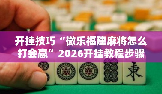 开挂技巧“微乐福建麻将怎么打会赢	”2026开挂教程步骤