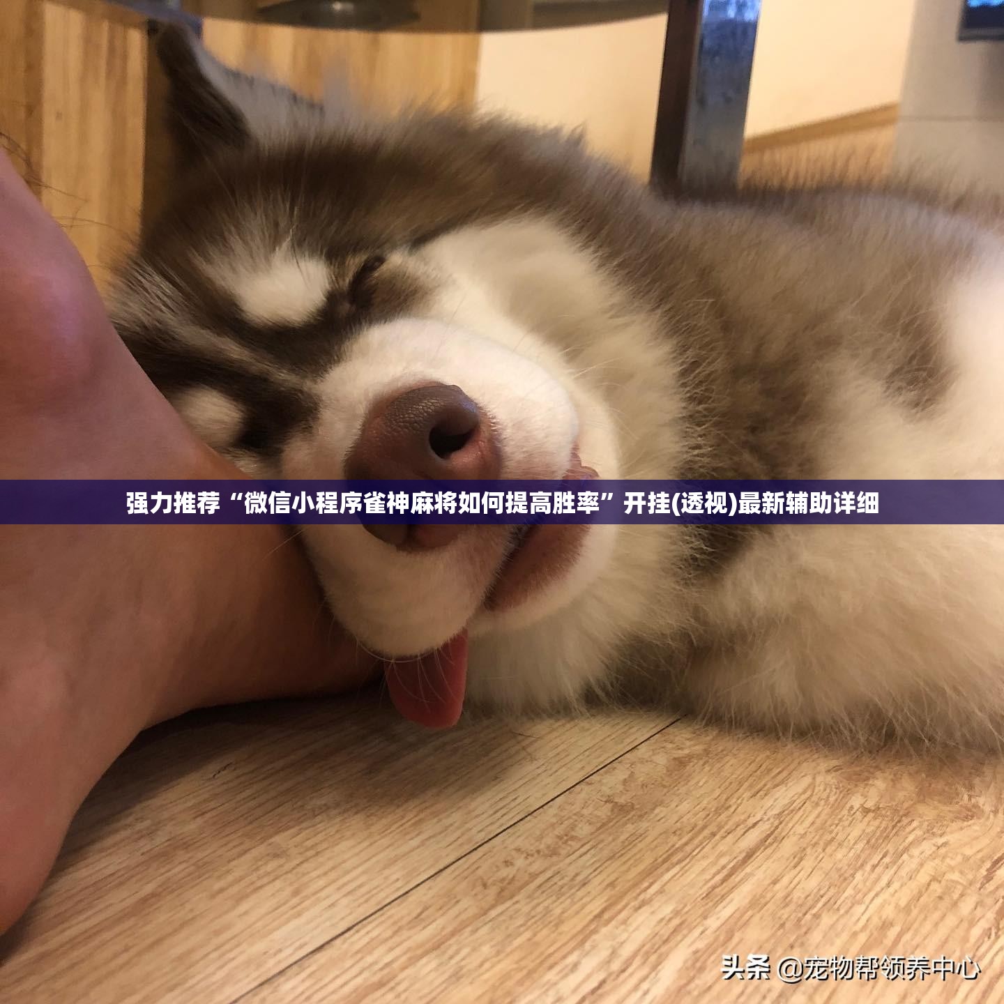 强力推荐“微信小程序雀神麻将如何提高胜率”开挂(透视)最新辅助详细
