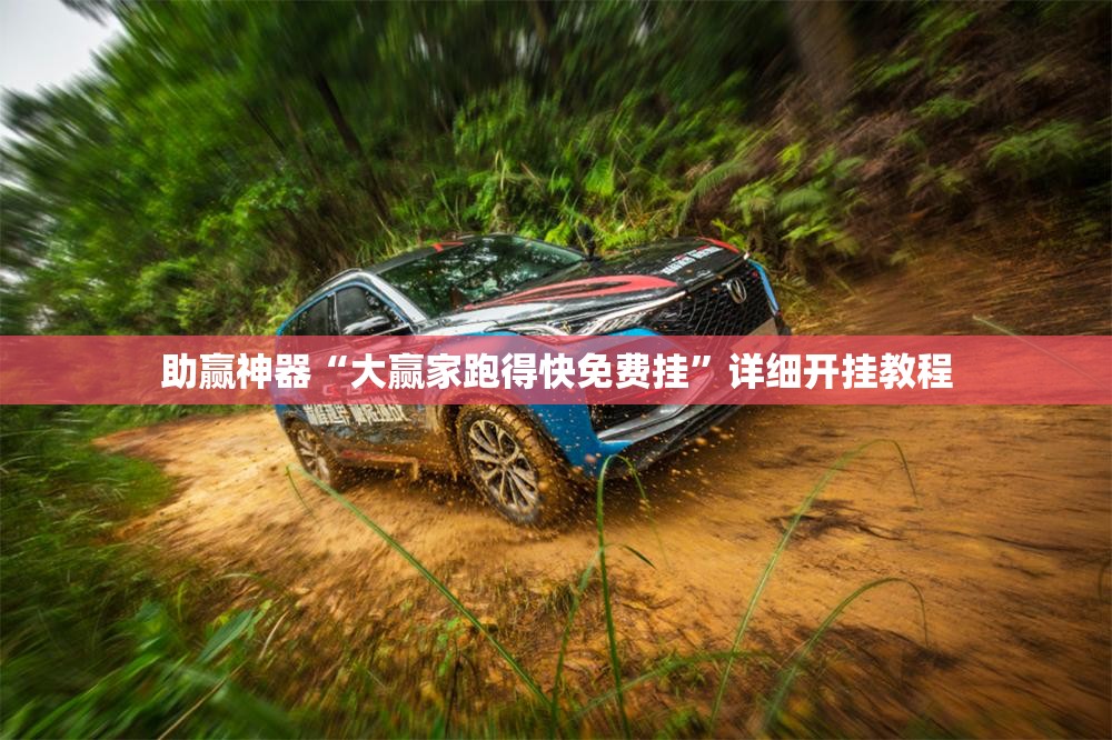 助赢神器“大赢家跑得快免费挂”详细开挂教程