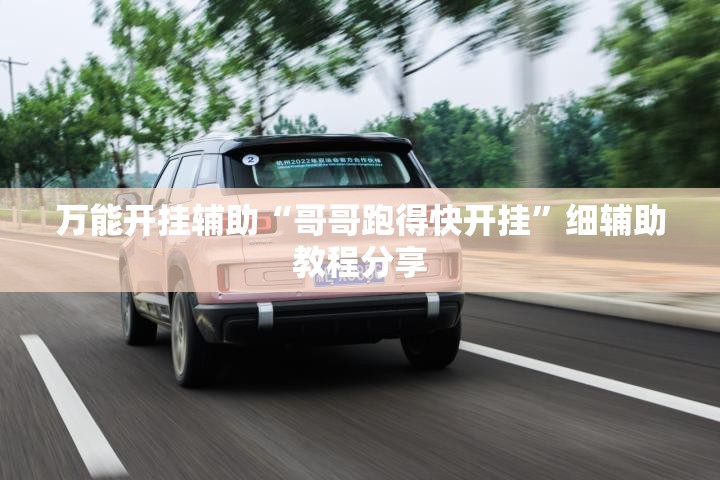 万能开挂辅助“哥哥跑得快开挂”细辅助教程分享