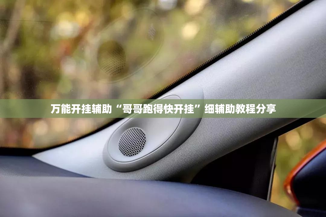 万能开挂辅助“哥哥跑得快开挂”细辅助教程分享