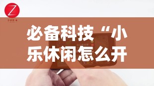 必备科技“小乐休闲怎么开挂”科技辅助神器手机版