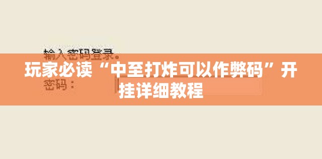 玩家必读“中至打炸可以作弊码”开挂详细教程