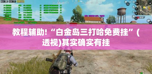 教程辅助!“白金岛三打哈免费挂”(透视)其实确实有挂