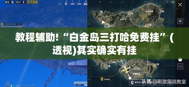 教程辅助!“白金岛三打哈免费挂	”(透视)其实确实有挂