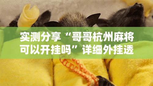 实测分享“哥哥杭州麻将可以开挂吗”详细外挂透视辅助软件教程