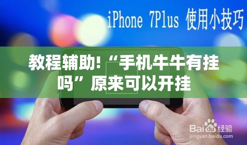 教程辅助!“手机牛牛有挂吗	”原来可以开挂
