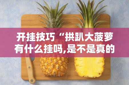 开挂技巧“拱趴大菠萝有什么挂吗,是不是真的	”细辅助教程分享