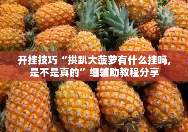 开挂技巧“拱趴大菠萝有什么挂吗,是不是真的	”细辅助教程分享