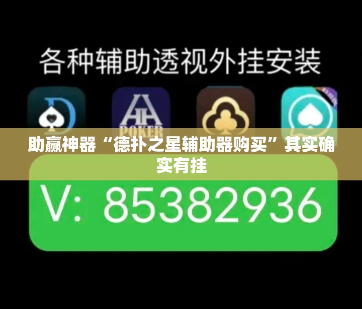 助赢神器“德扑之星辅助器购买”其实确实有挂