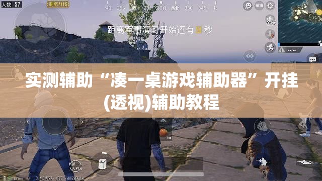 实测辅助“凑一桌游戏辅助器	”开挂(透视)辅助教程