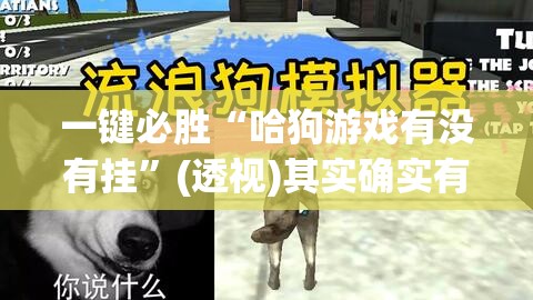 一键必胜“哈狗游戏有没有挂”(透视)其实确实有挂