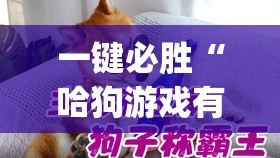 一键必胜“哈狗游戏有没有挂	”(透视)其实确实有挂
