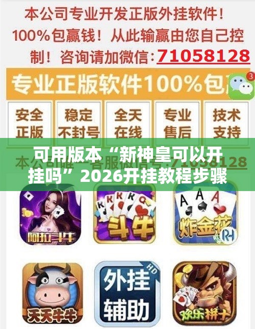 可用版本“新神皇可以开挂吗”2026开挂教程步骤