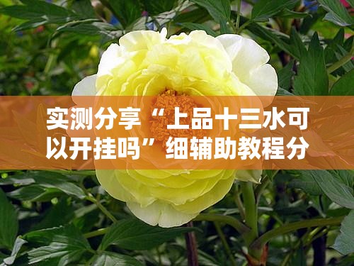 实测分享“上品十三水可以开挂吗”细辅助教程分享