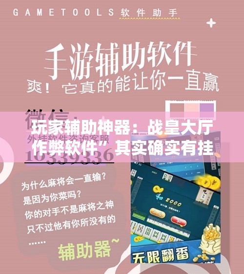 玩家辅助神器：战皇大厅作弊软件	”其实确实有挂