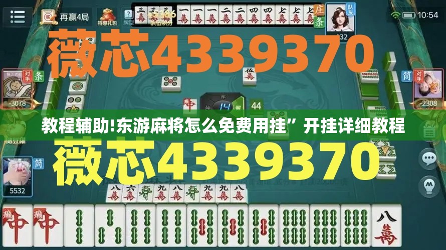 教程辅助!东游麻将怎么免费用挂”开挂详细教程