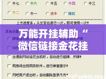 万能开挂辅助“微信链接金花挂是否可信”开挂辅助脚本+详细开挂安装教程