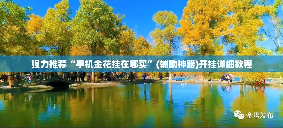 强力推荐“手机金花挂在哪买”(辅助神器)开挂详细教程