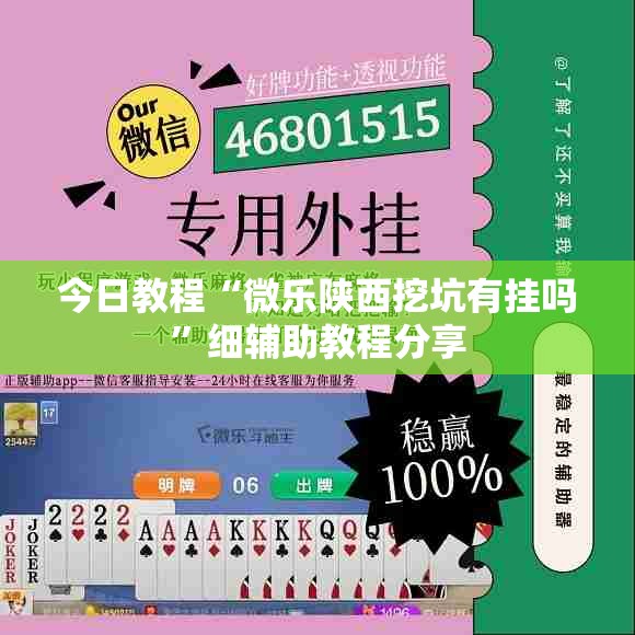 今日教程“微乐陕西挖坑有挂吗”细辅助教程分享