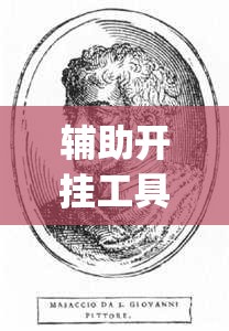 辅助开挂工具“新超圣有透视挂吗	”开挂(透视)辅助神器