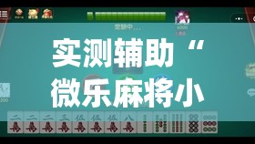 实测辅助“微乐麻将小程序挂”(透视挂)辅助下载教程
