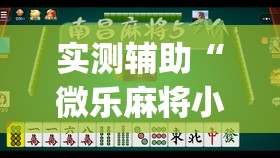 实测辅助“微乐麻将小程序挂”(透视挂)辅助下载教程