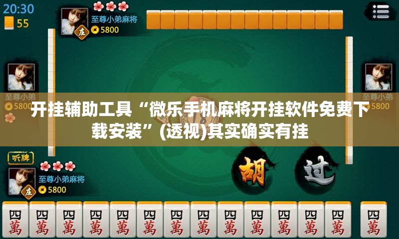 开挂辅助工具“微乐手机麻将开挂软件免费下载安装”(透视)其实确实有挂