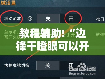 教程辅助!“边锋干瞪眼可以开挂吗”细辅助教程分享