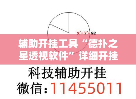 辅助开挂工具“德扑之星透视软件	”详细开挂教程