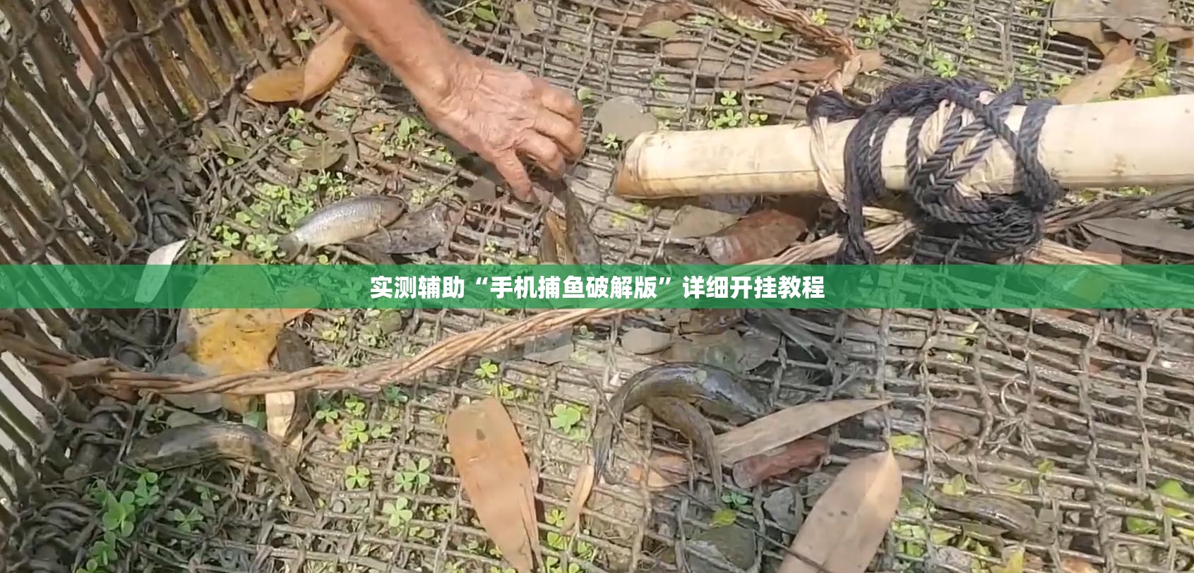 实测辅助“手机捕鱼破解版”详细开挂教程