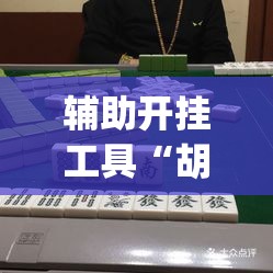辅助开挂工具“胡乐阳泉麻将有挂吗”开挂(透视)辅助神器
