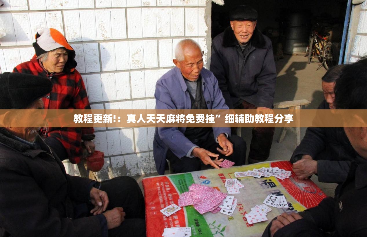 教程更新!：真人天天麻将免费挂”细辅助教程分享