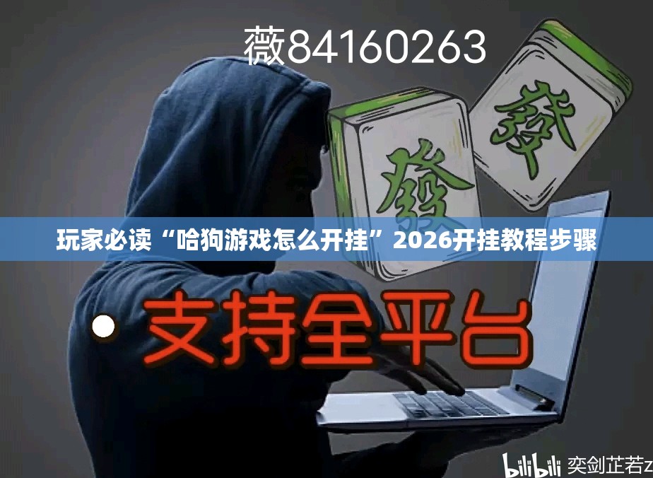 玩家必读“哈狗游戏怎么开挂”2026开挂教程步骤