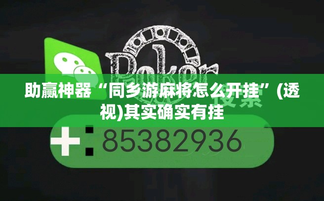 助赢神器“同乡游麻将怎么开挂	”(透视)其实确实有挂