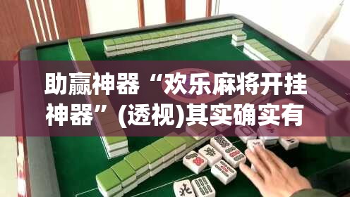 助赢神器“欢乐麻将开挂神器”(透视)其实确实有挂