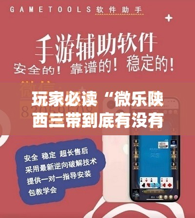 玩家必读“微乐陕西三带到底有没有挂”开挂(透视)最新辅助详细