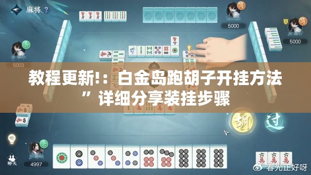 教程更新!：白金岛跑胡子开挂方法”详细分享装挂步骤