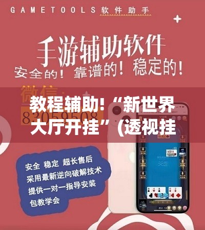 教程辅助!“新世界大厅开挂”(透视挂)辅助下载教程