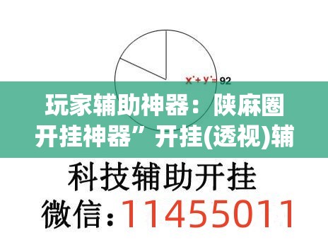 玩家辅助神器：陕麻圈开挂神器”开挂(透视)辅助教程