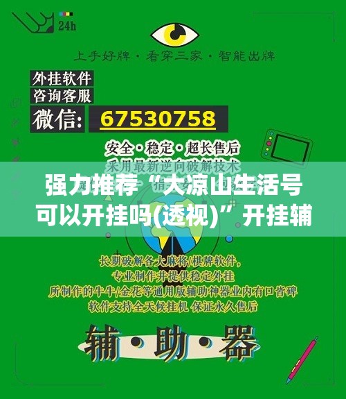 强力推荐“大凉山生活号可以开挂吗(透视)”开挂辅助脚本+详细开挂安装教程